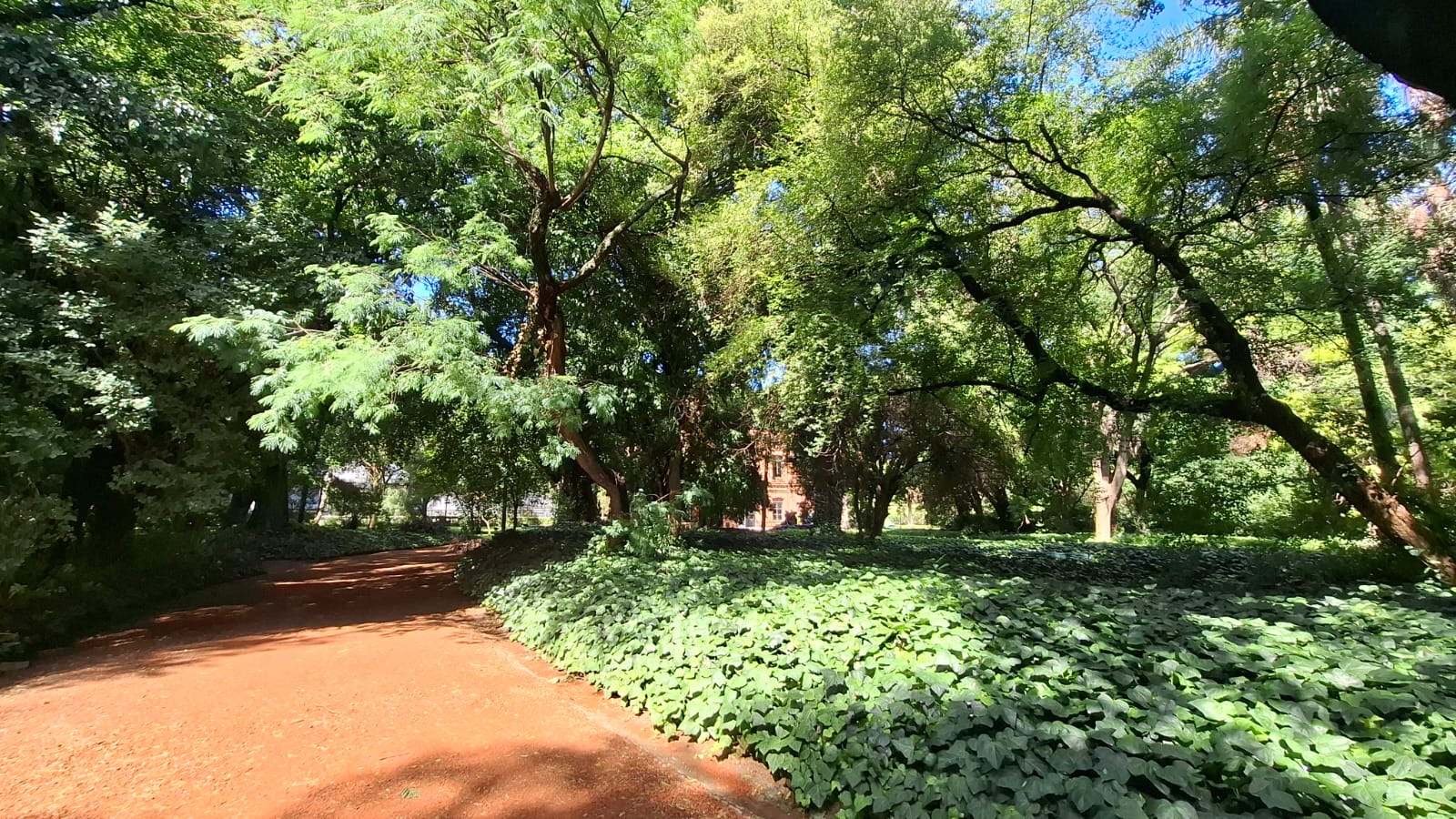 Desarrollo Premium Urbano 1